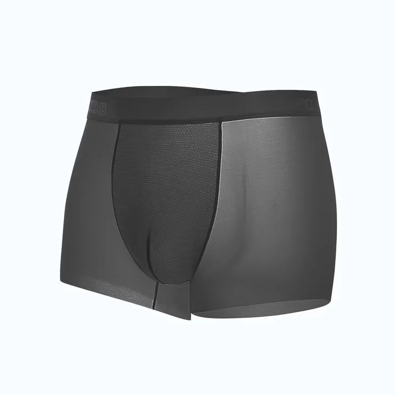 Ice Silk Men's Panties Sports Quick Drying Fashion Shorts Thin Plus Size Panties Boxer Underwear Underpants Gift Luxury