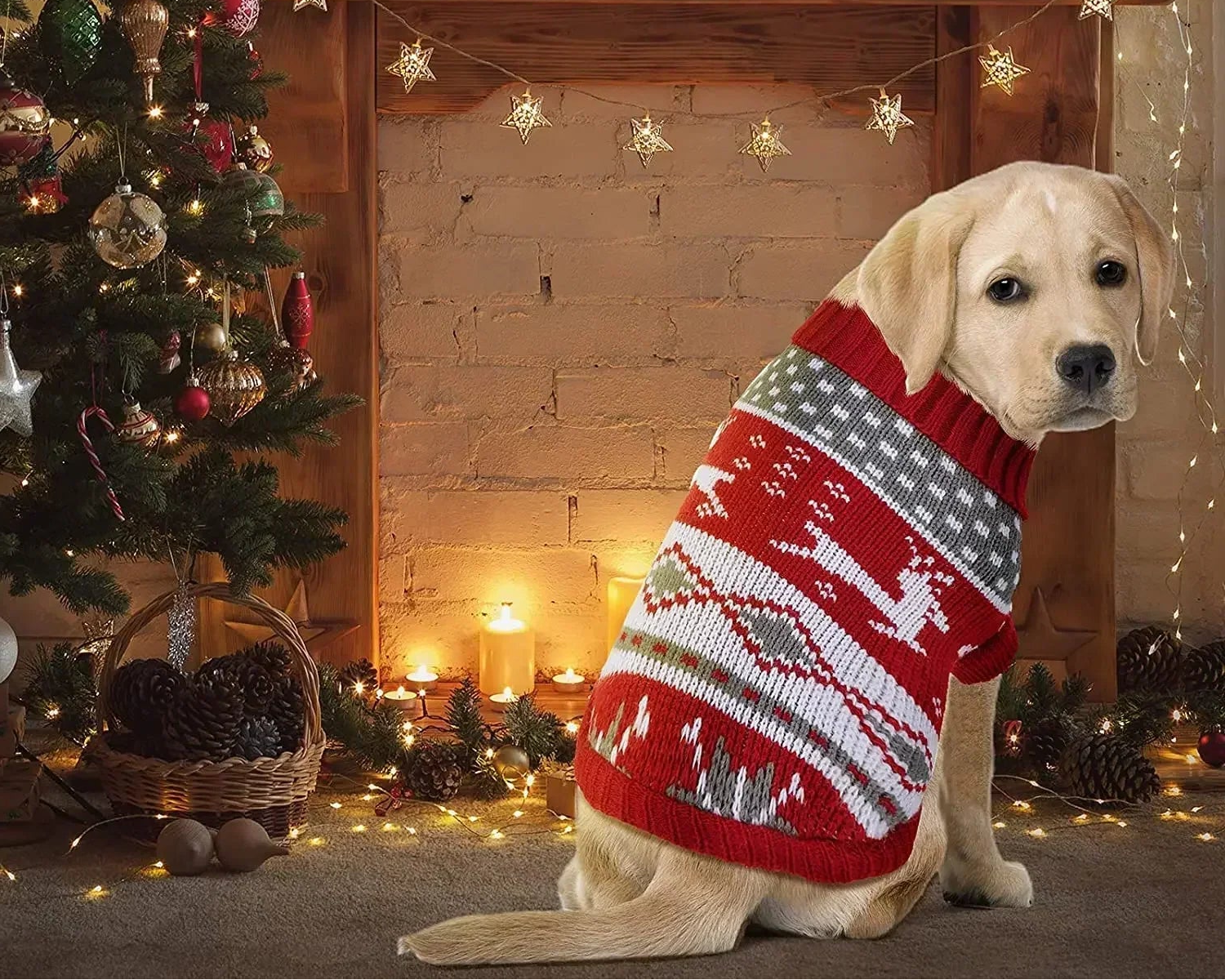 Warm Dog Clothes for Small Dog Coats Jacket Winter Clothes for Dogs Cats Clothing Chihuahua Cartoon Pet Sweater Costume Apparels